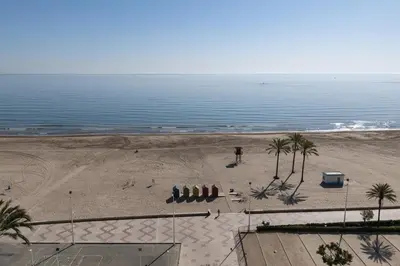 an overhead view of a beach with palm trees at Lider, 10-B in Cullera