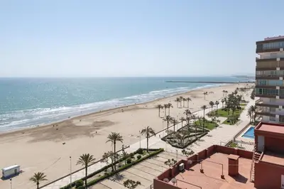 a view of a beach with palm trees and the ocean at LIDER, 12º-A Atico in Cullera