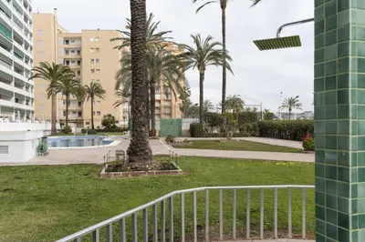 a view of a park with palm trees and buildings at Lider, 5-B in Cullera