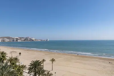 a beach with palm trees and the ocean at Nautilo, 8º-15 in Cullera