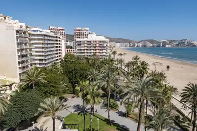 a view of a beach with palm trees and buildings at Nautilo, 8º-15 in Cullera