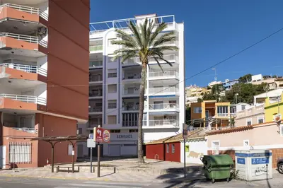 a palm tree in front of a tall building at Seniades, 6º-16 in Cullera