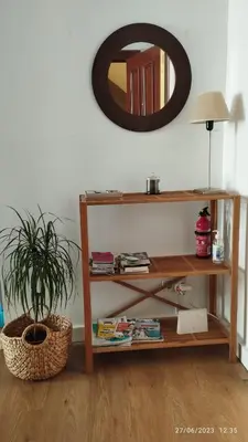 a shelf with a potted plant and a mirror at La Roqueta completo en pleno centro in Valencia
