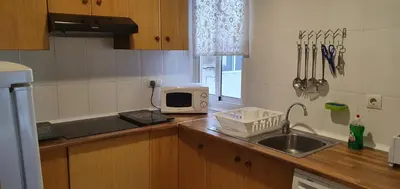 a kitchen with a sink and a microwave at Apartamento Ciudad de las Ciencias 2 in Valencia