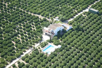 an aerial view of a house with a pool at Villamilagro in Sueca