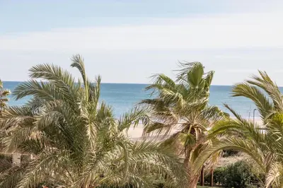 a view of a beach with palm trees and the ocean at Apartamento Calipso in El Palmar