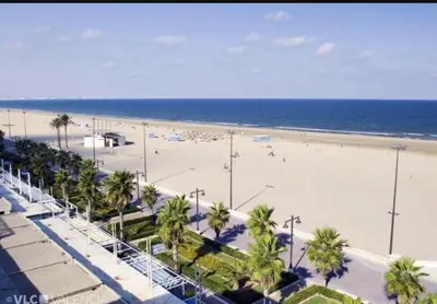 a view of a beach with palm trees and the ocean at Piso en la playa in Valencia