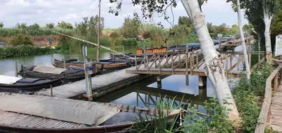 a group of boats parked next to a wooden bridge at Habitación cerca del centro in Valencia