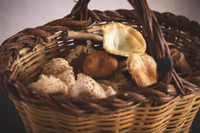 a basket filled with different types of bread at La Orza de Angel in Chiva