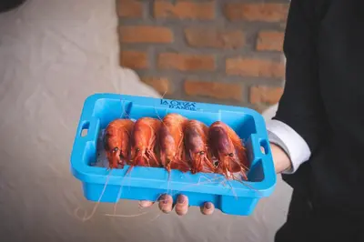 a person holding a blue tray filled with lobsters at La Orza de Angel in Chiva