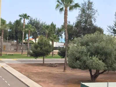 a park with palm trees and a picnic table at Apartamentos Playa de Moncofa in Moncófar