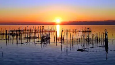 a man standing in the water at sunset at Hostal Andrés in El Saler