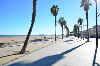 a sidewalk with palm trees on the beach at Apartamento frente al mar in Valencia