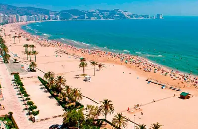 a beach with a lot of people and the ocean at 