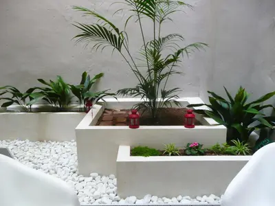 a garden with a fire hydrant and plants in it at Apartamento Forn dels Apòstols in Valencia