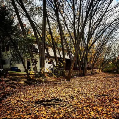 a group of trees and leaves in front of a house at Molino Galán in Alborache