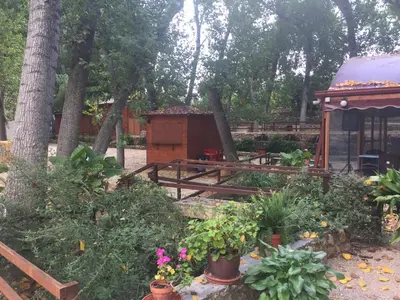 a garden with a gazebo and some plants at Molino Galán in Alborache