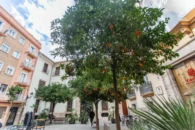 an orange tree in the middle of a street at VLC - Cisneros in Valencia