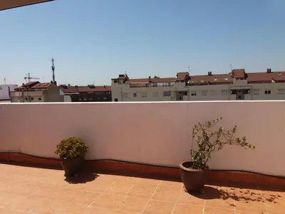 two potted plants sitting on top of a white wall at Atico Duplex Luminoso in Valencia