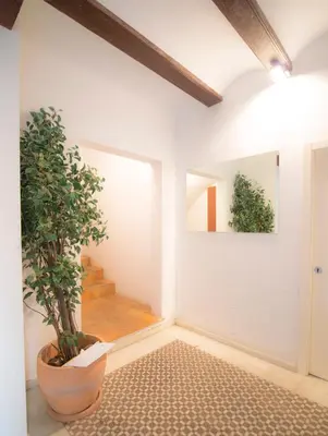 a hallway with a potted plant and a staircase at Ambrosio Flats Valencia - El Mercat in Valencia