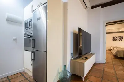 a kitchen with a stainless steel refrigerator and a tv at Apartamentos La Xerea in Valencia