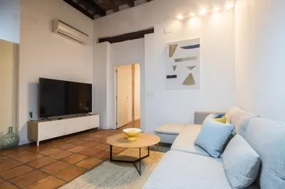 a living room with a couch and a tv at Apartamentos La Xerea in Valencia