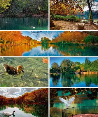 a collage of different pictures of a lake at Casa del Agua in Anna