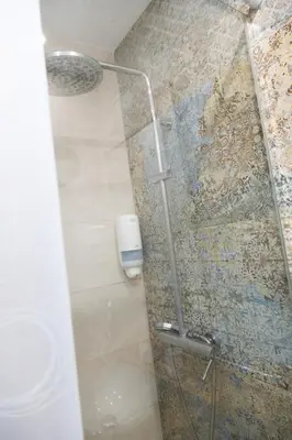 a shower with a glass door in a bathroom at Botanico Silence in Valencia