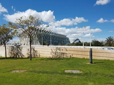 a wall with a tree and a building in the background at Apartamento Ciencias y Playa in Valencia