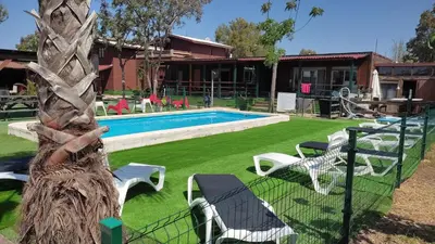 a pool with chairs and a palm tree next to a house at Bungalows Park Albufera in El Saler