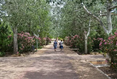 two people walking down a path in a park at Belchite in Valencia