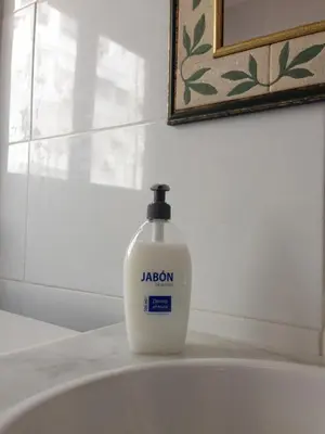 a bottle of laundry detergent sitting on a bathroom sink at Valencian Dreams in Valencia