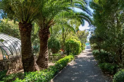 two palm trees in a garden with a pathway at Apartamentos Gaudi Style in Náquera