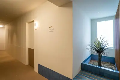 a hallway with a potted plant next to a window at Teide Rooms in Puerto de Sagunto