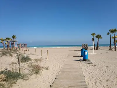a wooden path on a beach with palm trees at Apartamentos Canet de Berenguer 3000 in Canet de Berenguer