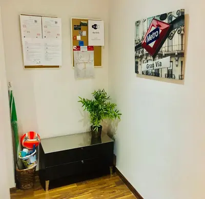 a black dresser with a potted plant on a wall at Mar & City Apartment in Valencia