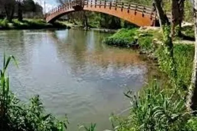 a bridge over a river in a park at Apartamento Cerca De Valencia in Riba-Roja De Turia