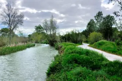a river with grass and trees on the side at Apartamento Cerca De Valencia in Riba-Roja De Turia