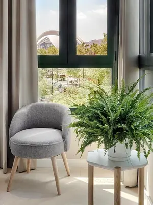 a chair and a potted plant in front of a window at Opera House Valencia B&B in Valencia
