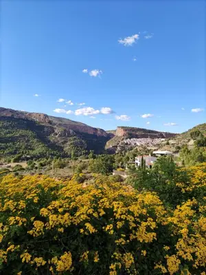 a field of yellow flowers with mountains in the background at La Rueda Apartamentos Rurales in Chulilla
