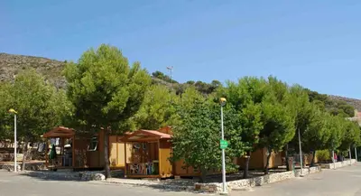 a row of trees on the side of a street at Camping Santamarta in Cullera