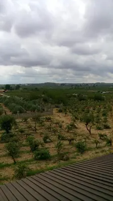 a view of a field with trees and bushes at Hotel-Motel Sol II in Requena