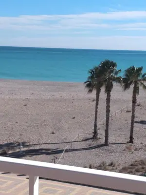 a view of a beach with palm trees and the ocean at Atico Duplex 1ª in Xilxes