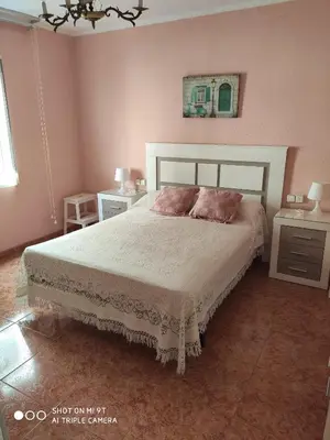 a bedroom with a large bed with pink walls at Mari Carmen, 2º-8 in Cullera
