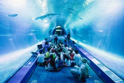 a group of people in an aquarium looking at fish at El Coral Apartment Valencia in Valencia