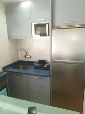 a kitchen with a stainless steel refrigerator and a sink at apartamento junto al mar in Cullera