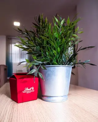 a plant in a pot on a table next to a red box at Flats Burjasot in Valencia