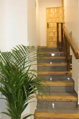 a stairway with a plant in front of a door at Apartamento Luminoso cerca de la PLAYA y PUERTO in Valencia