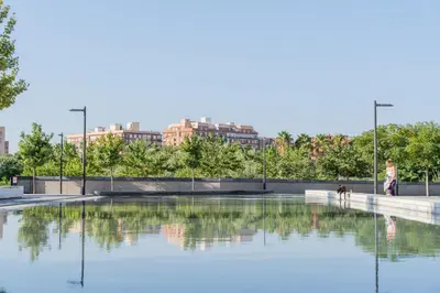 a person and a dog standing in a pool of water at MD Puerto Rico in Valencia