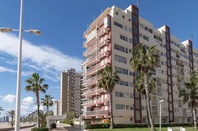 a tall building with palm trees in front of it at EL RACO- C, 8-16 in Cullera